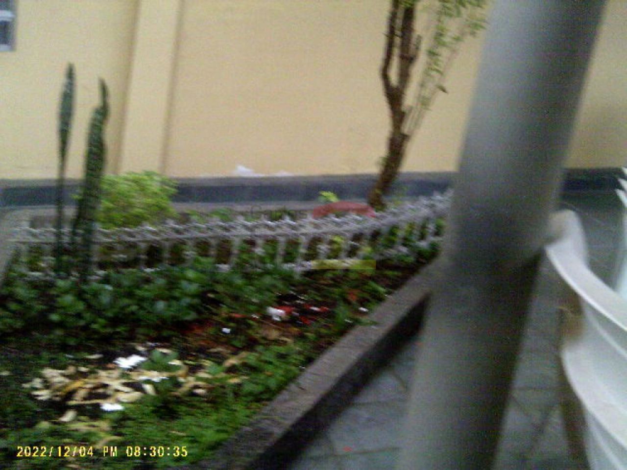 Foto 6