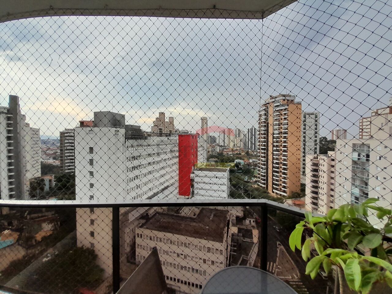 Foto 30