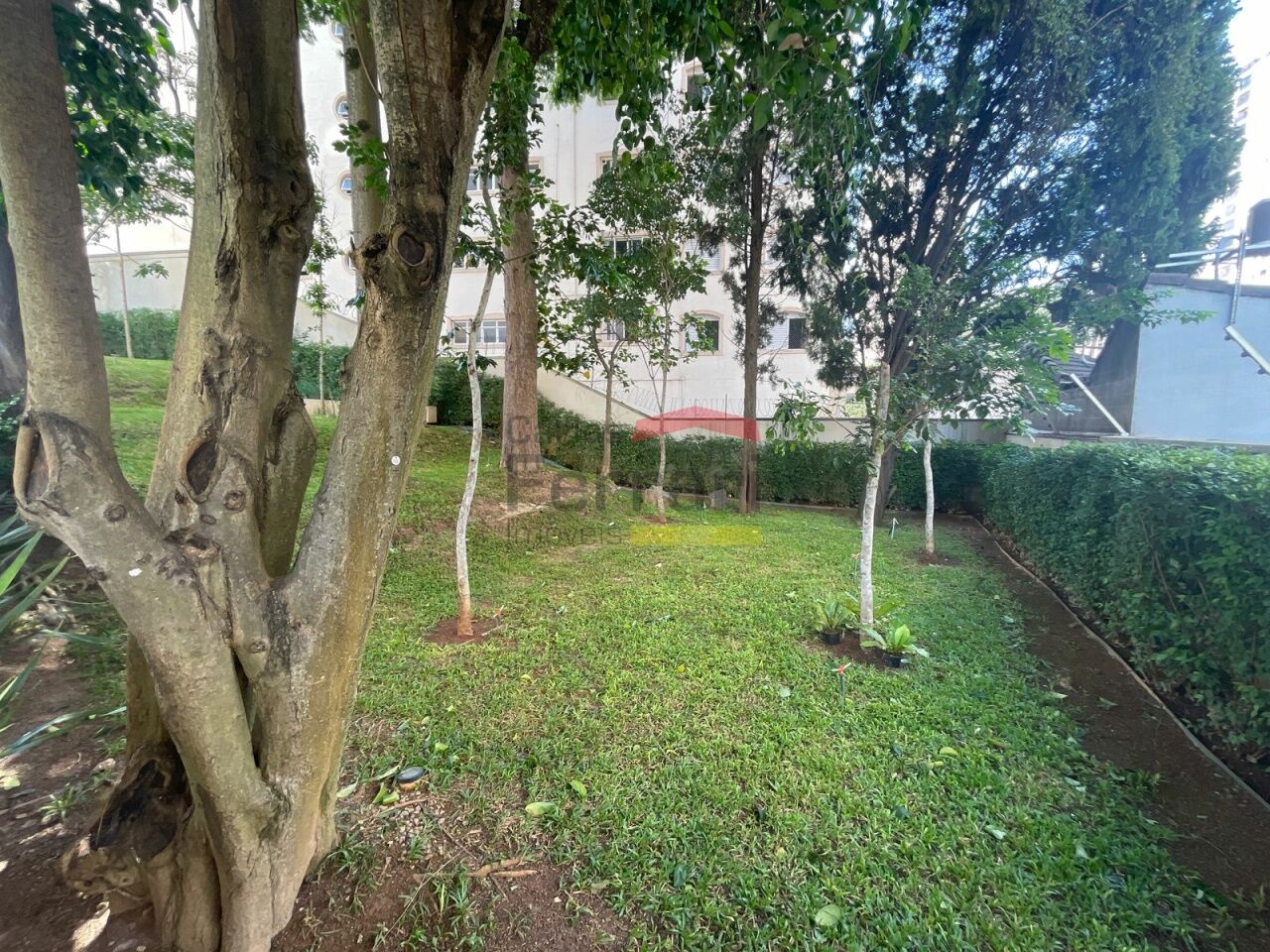 Foto 44