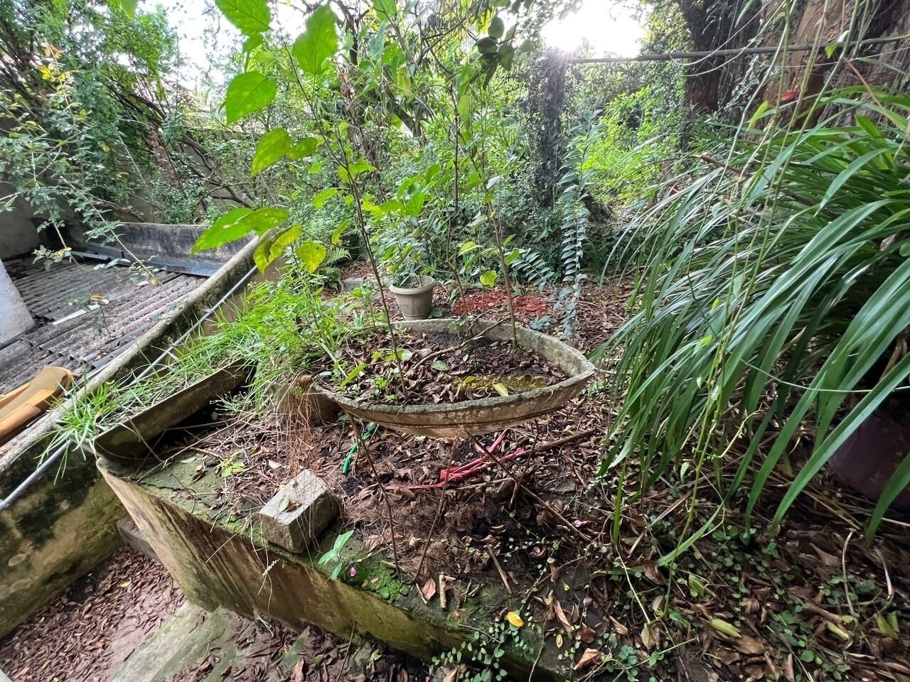 Foto 13