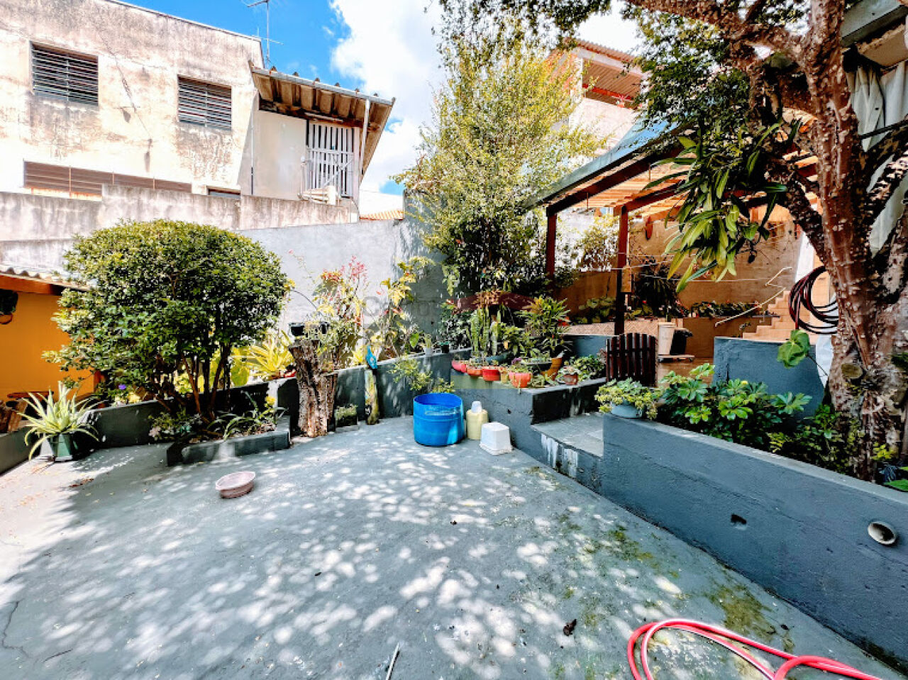 Foto 5