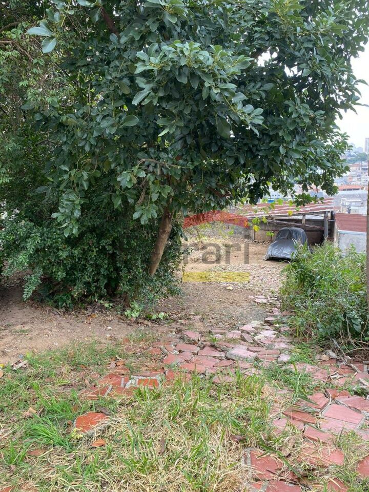 Foto 0