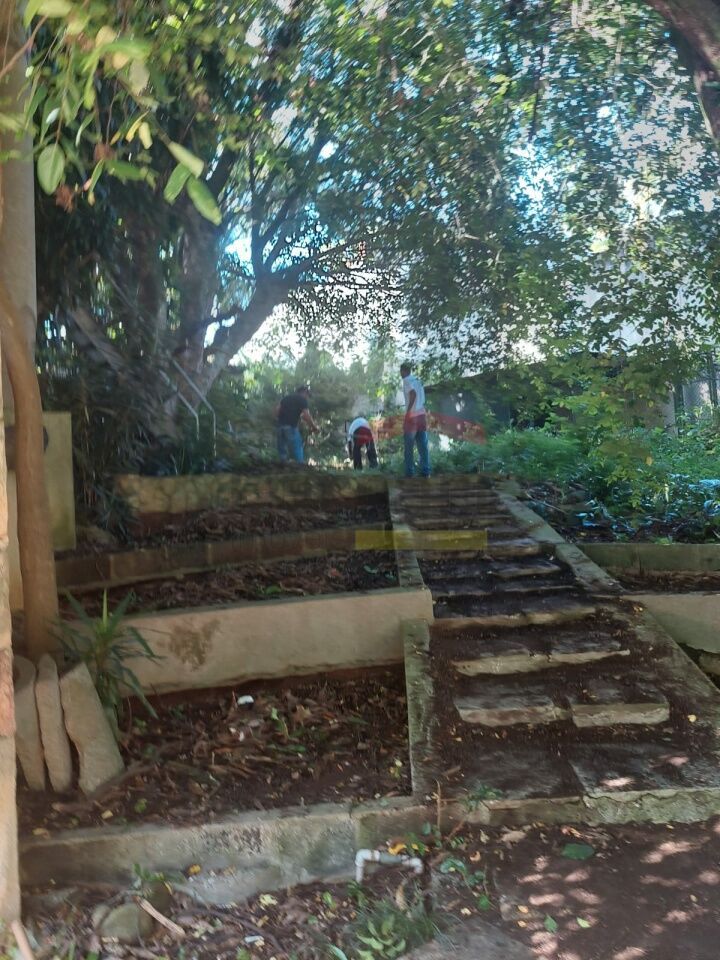 Foto 33