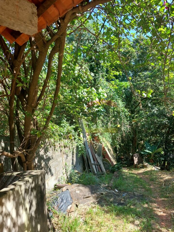 Foto 31