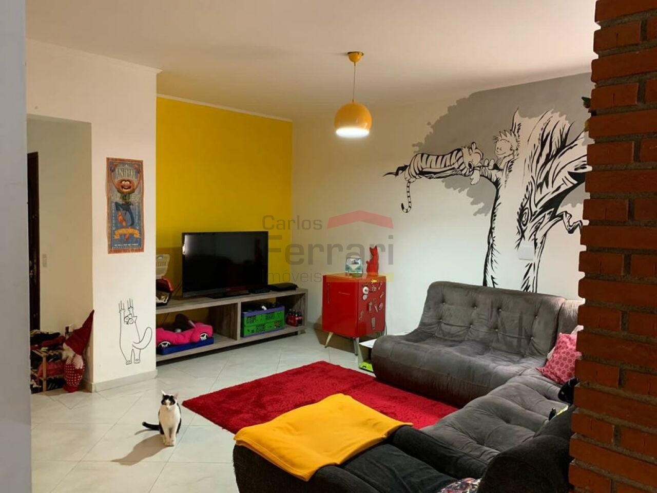Foto 5