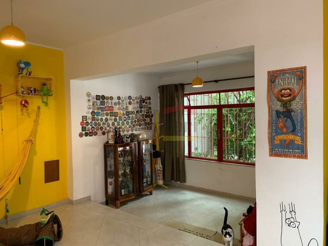 Foto 1