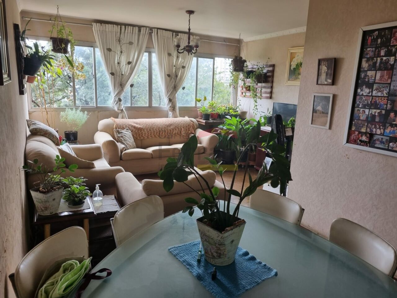 Foto 22