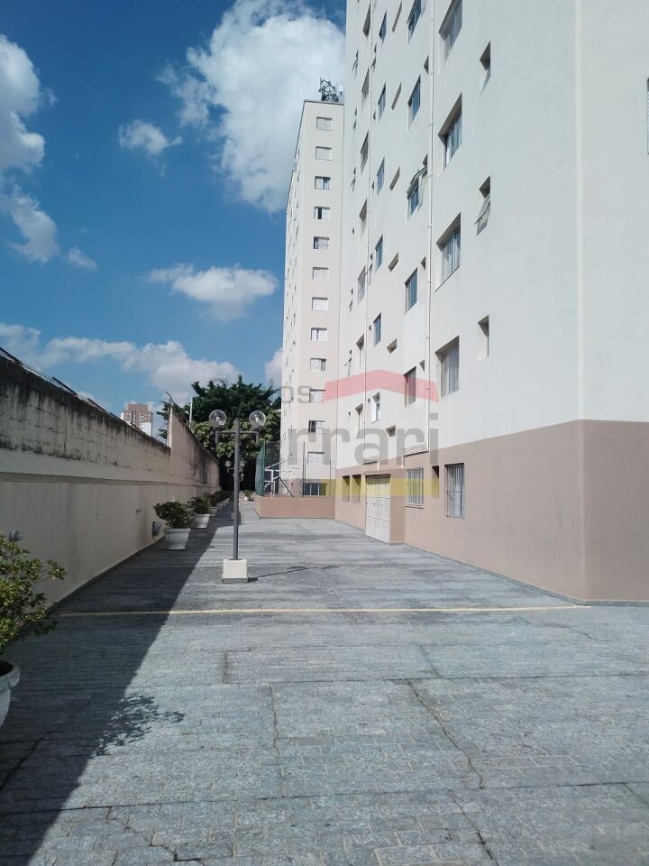 Foto 19