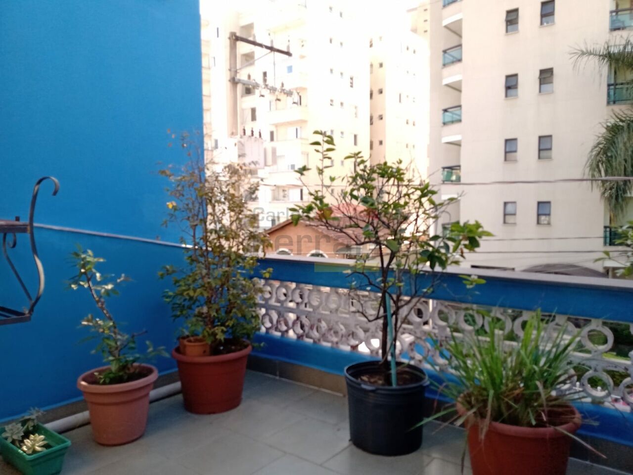 Foto 9