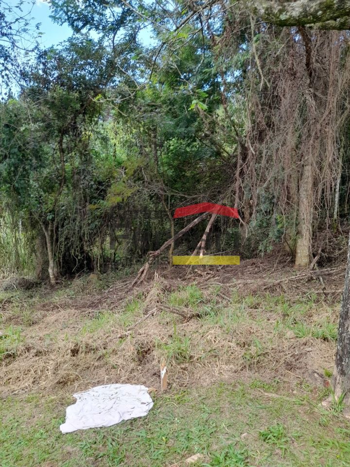 Foto 0