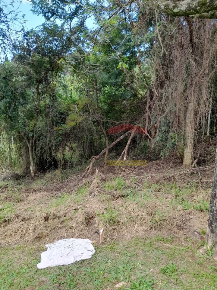 Foto 0