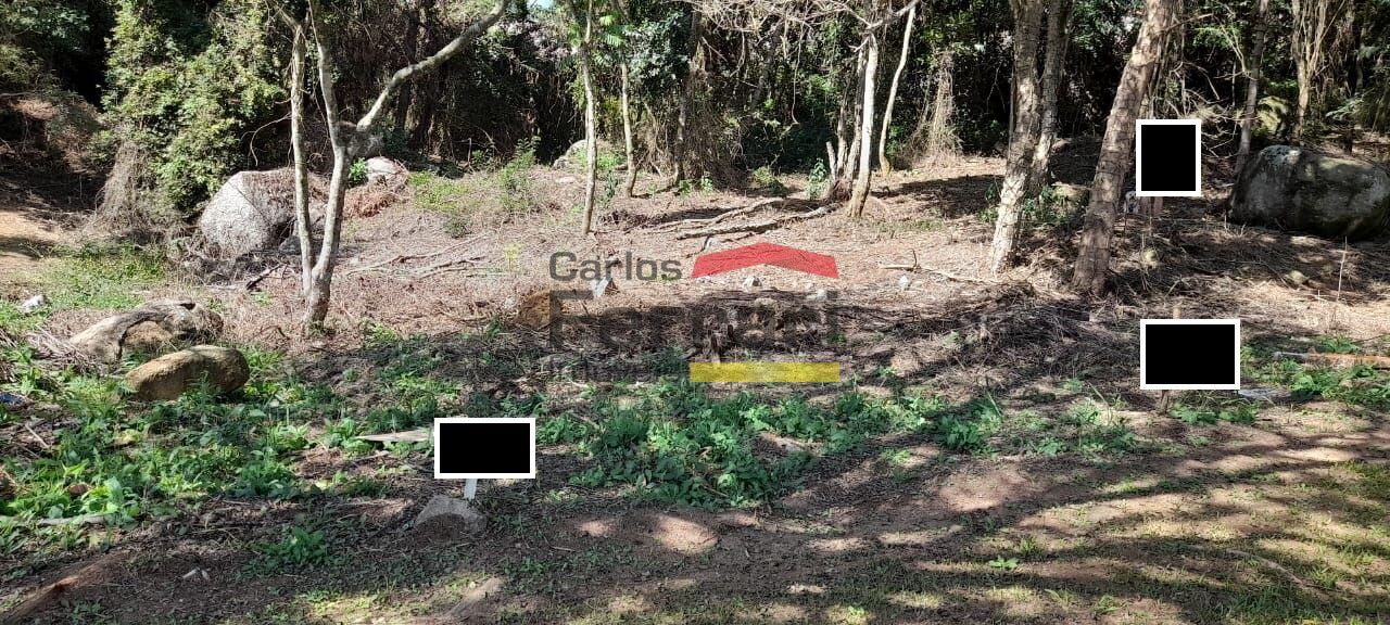 Foto 42
