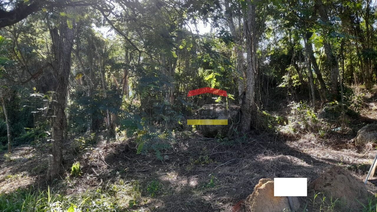 Foto 43