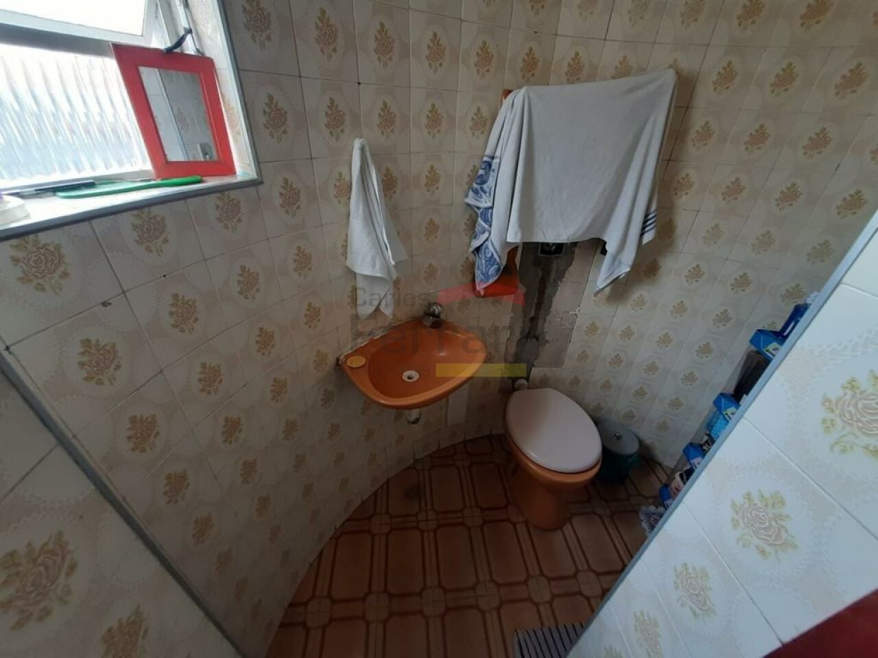 Foto 19
