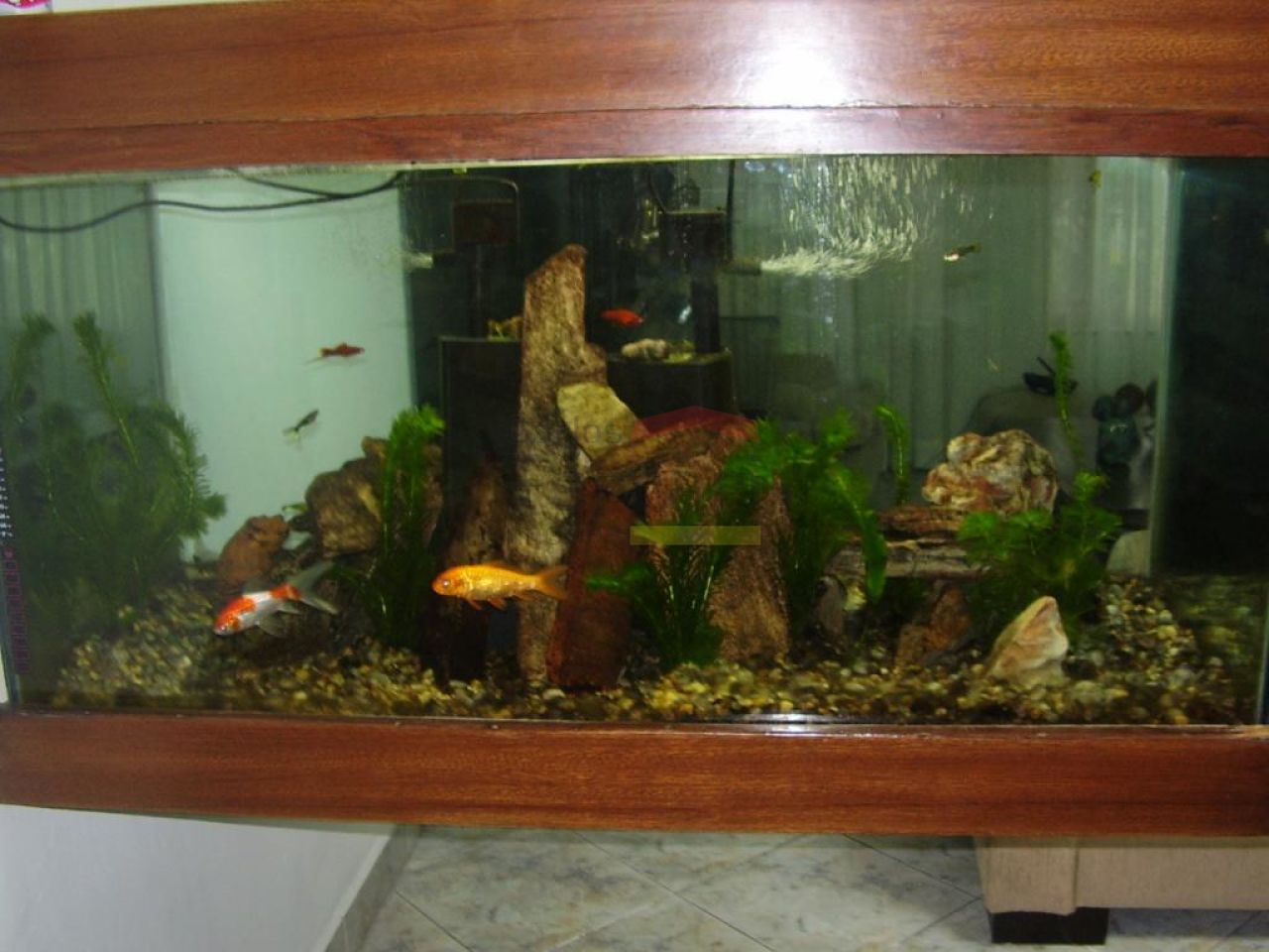 Foto 25