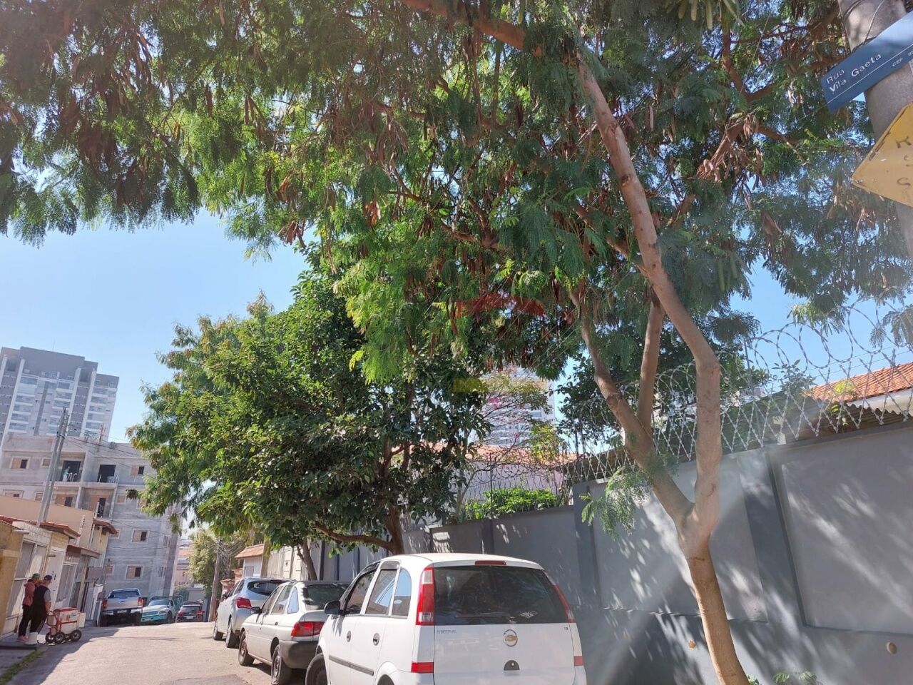 Foto 0