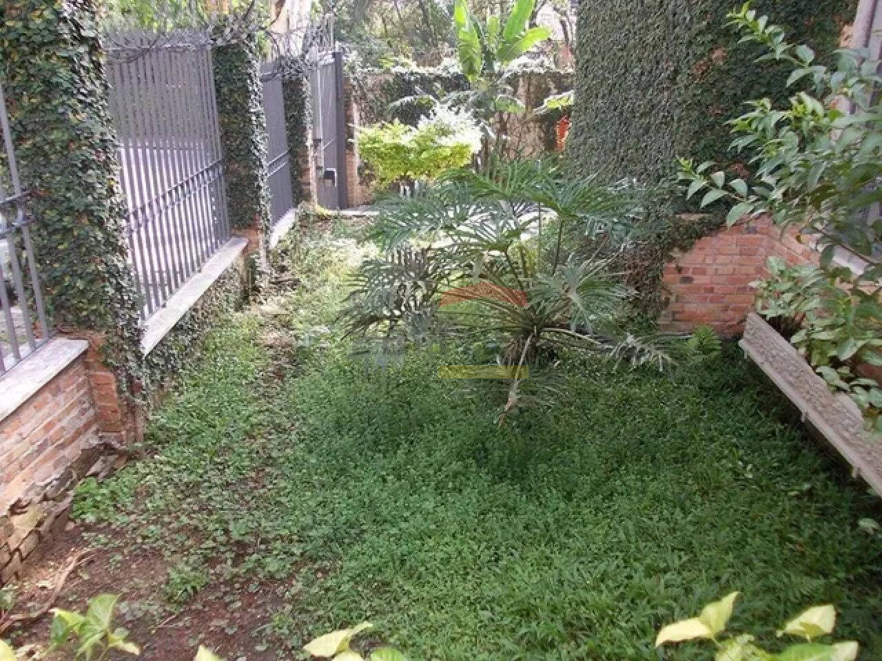 Foto 9