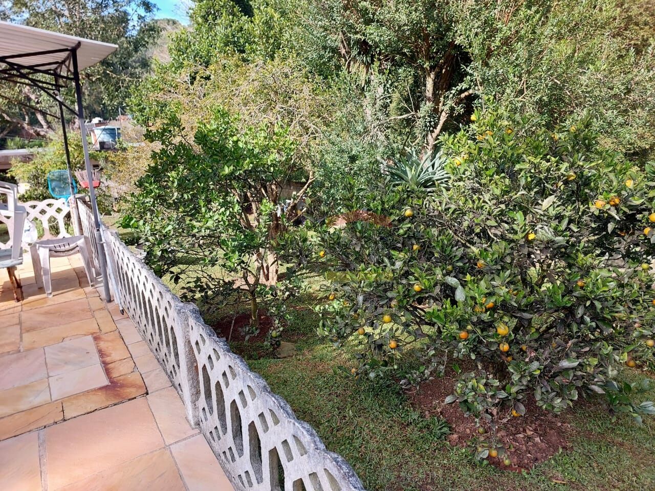 Foto 42