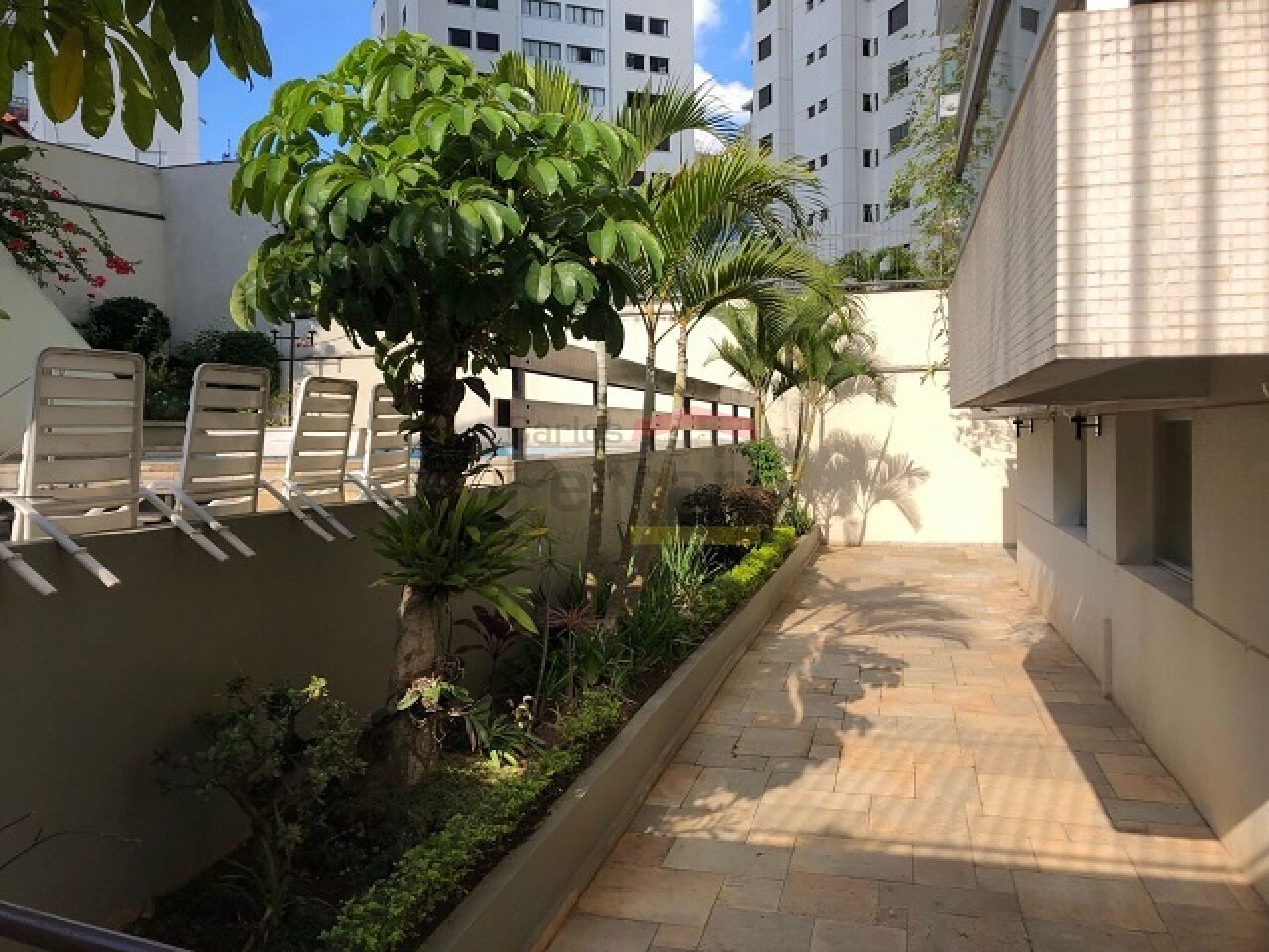 Foto 19