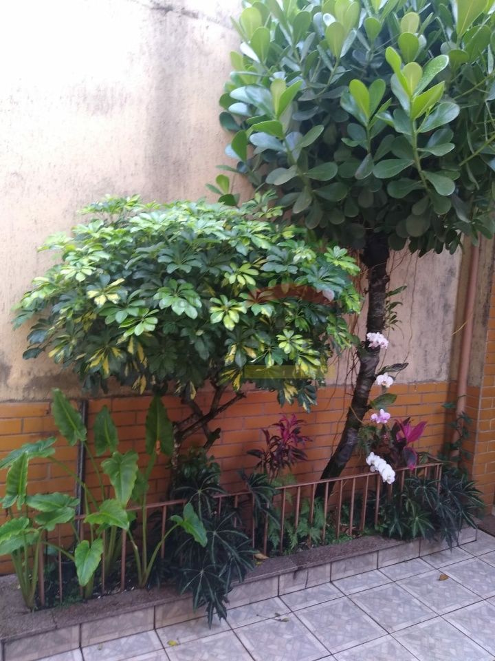 Foto 43