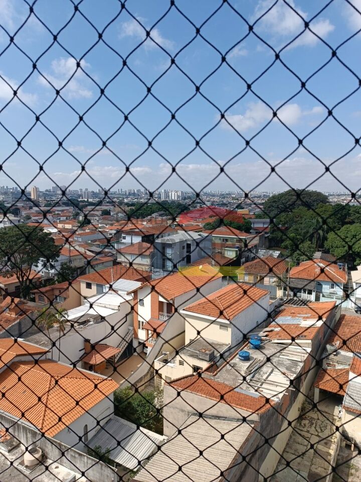 Foto 19