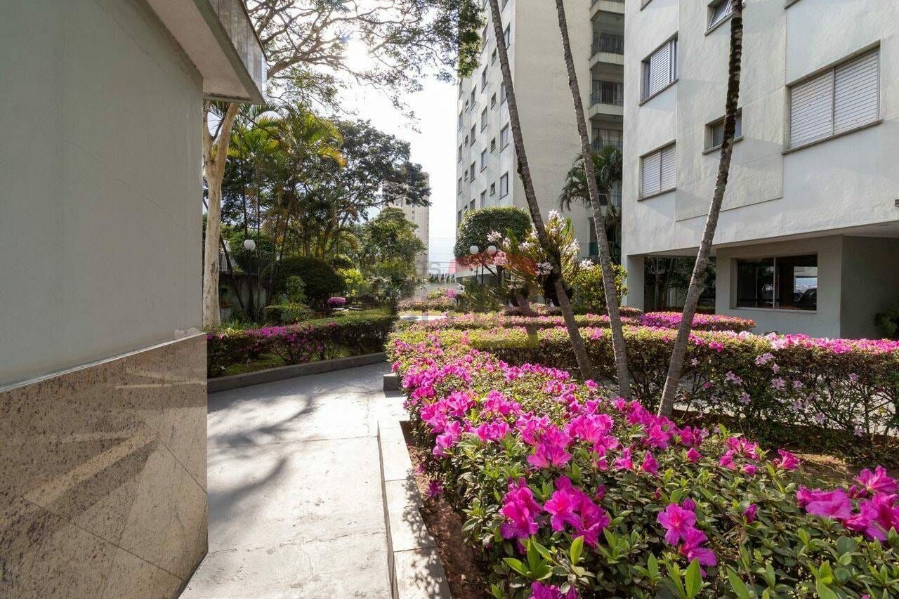 Foto 27