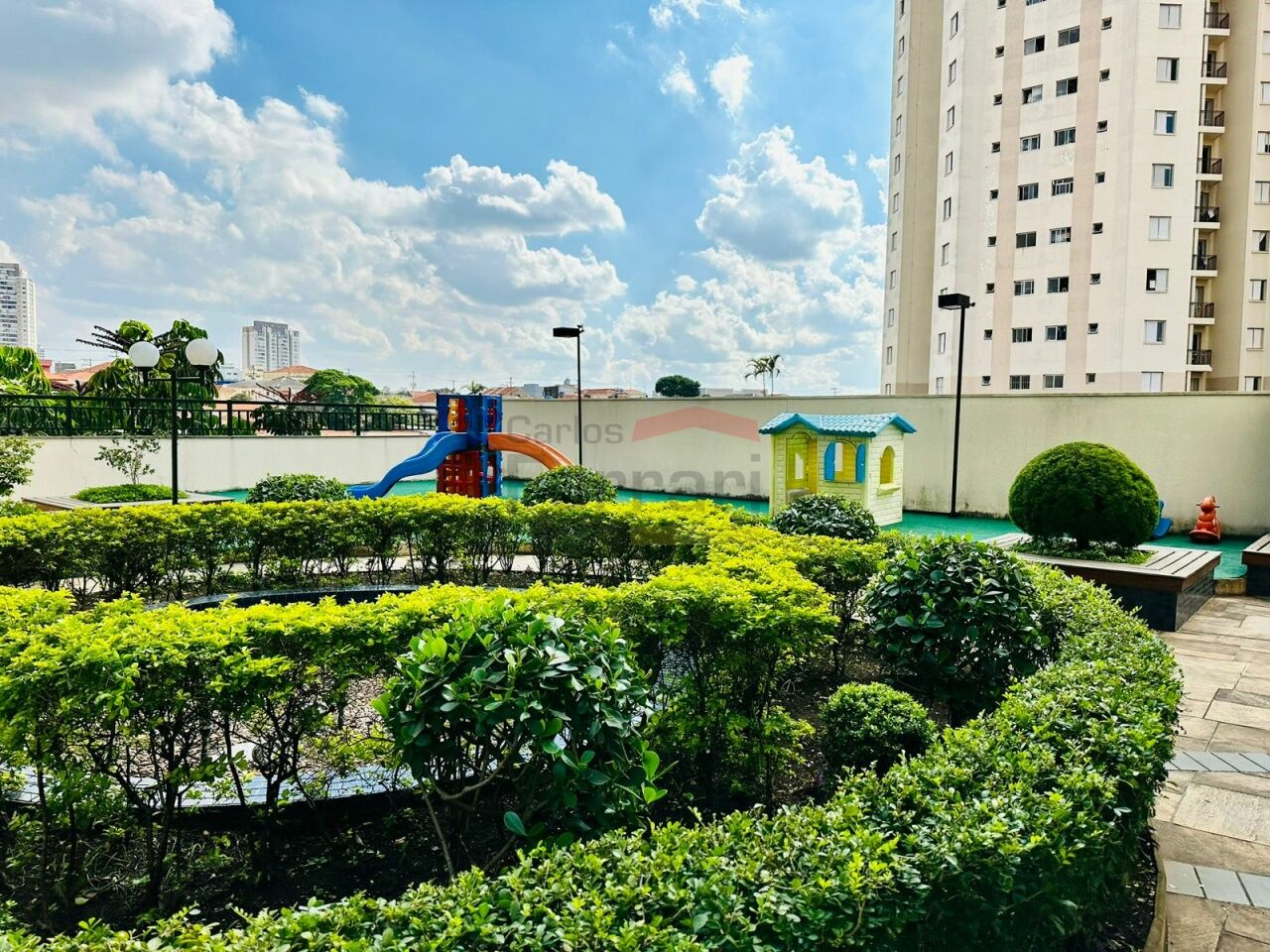 Foto 19