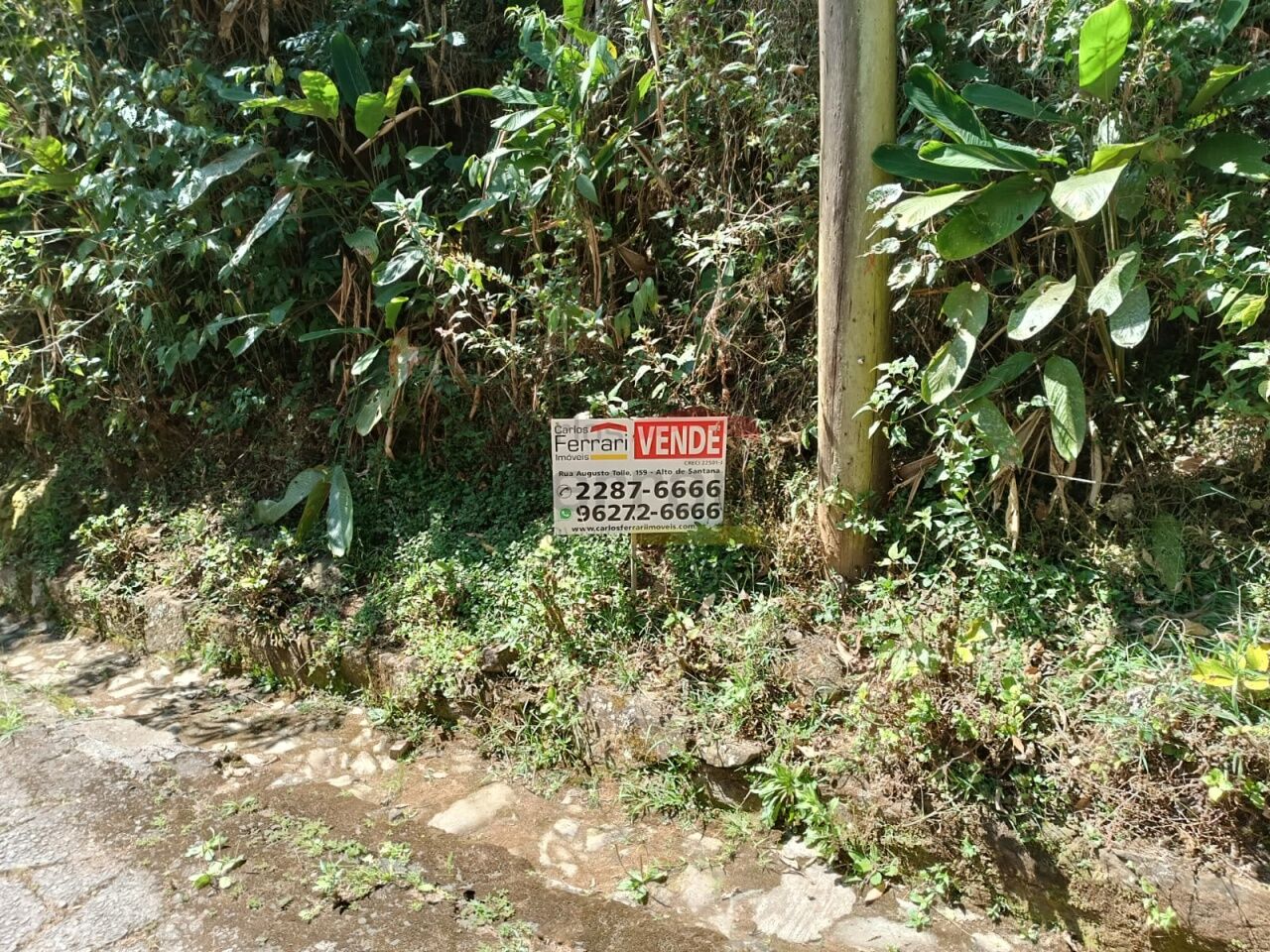 Foto 0