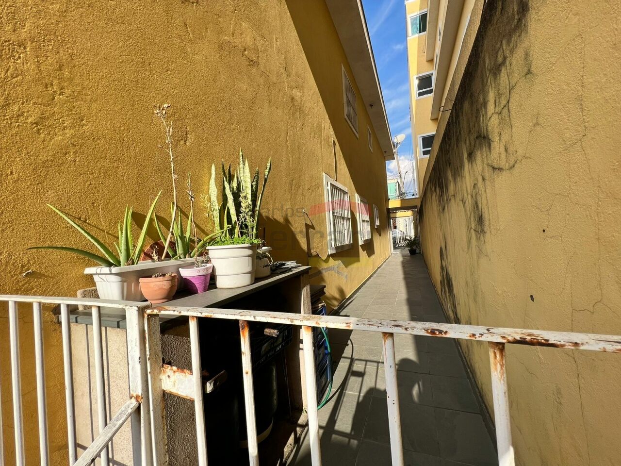 Foto 21