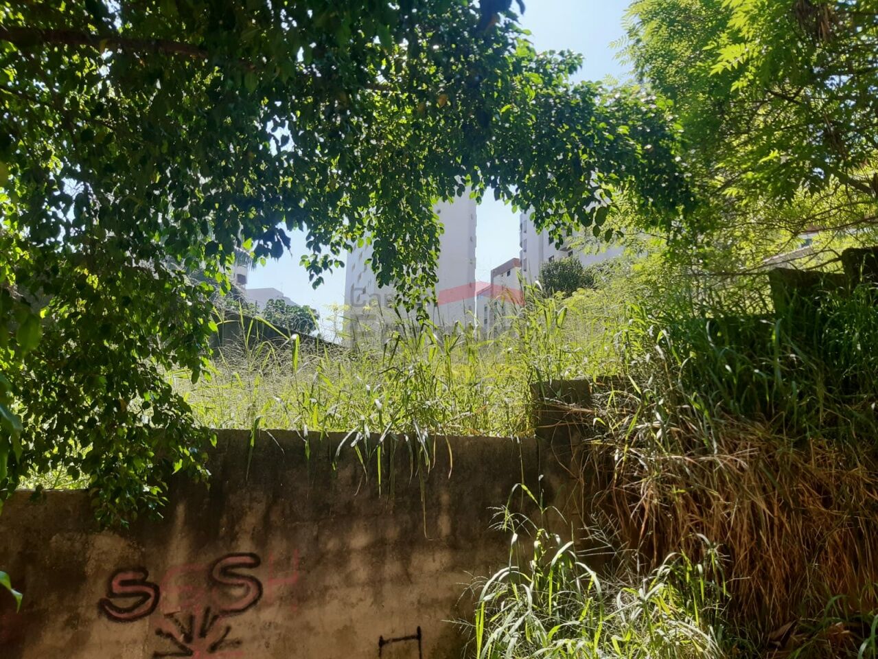 Foto 0