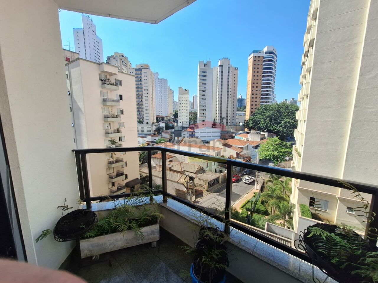 Foto 19
