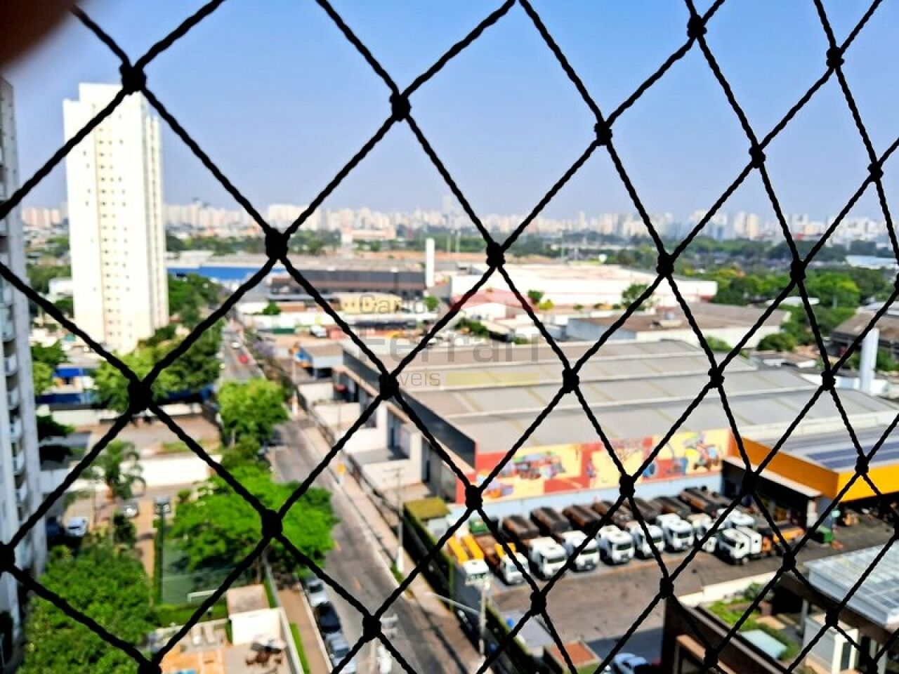 Foto 11