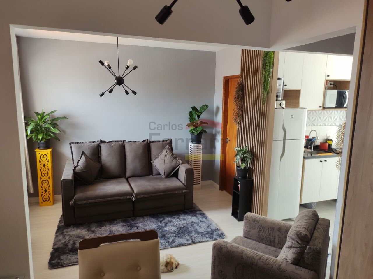 Foto 1