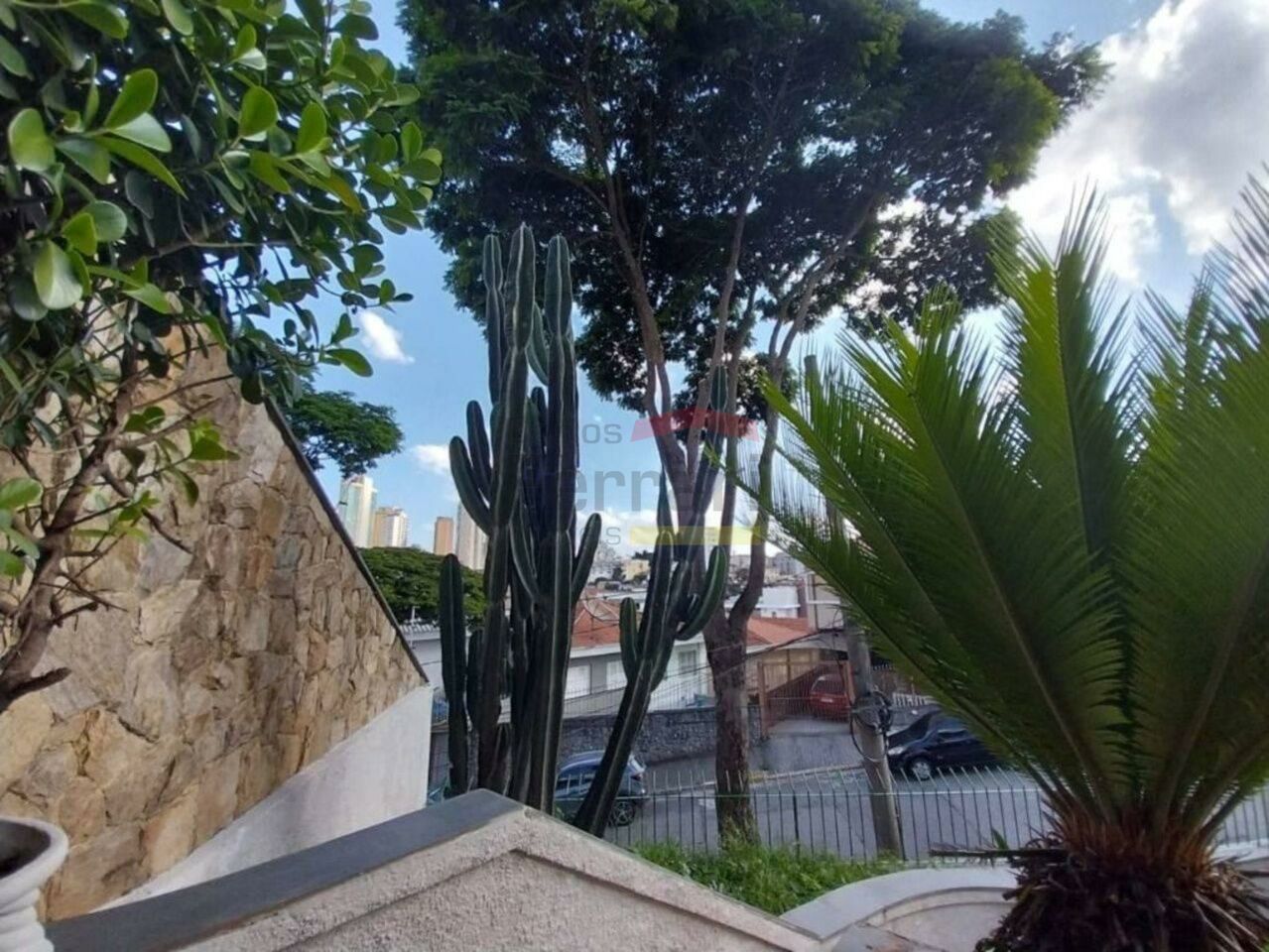 Foto 31