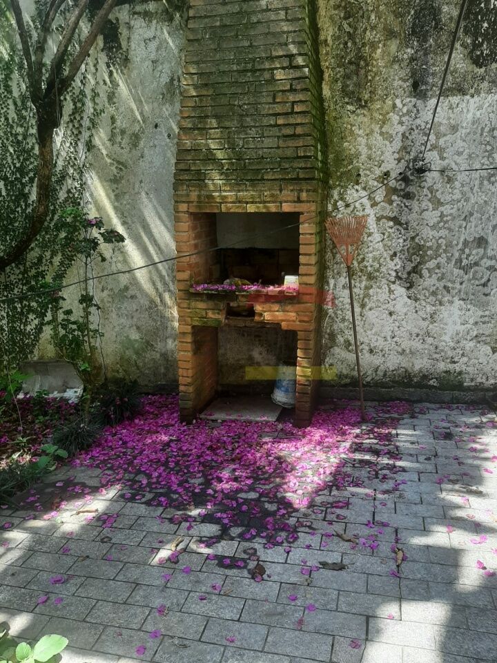Foto 21