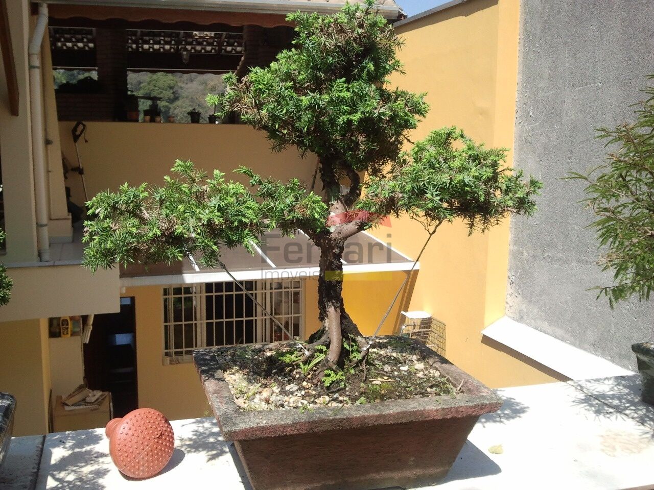 Foto 15