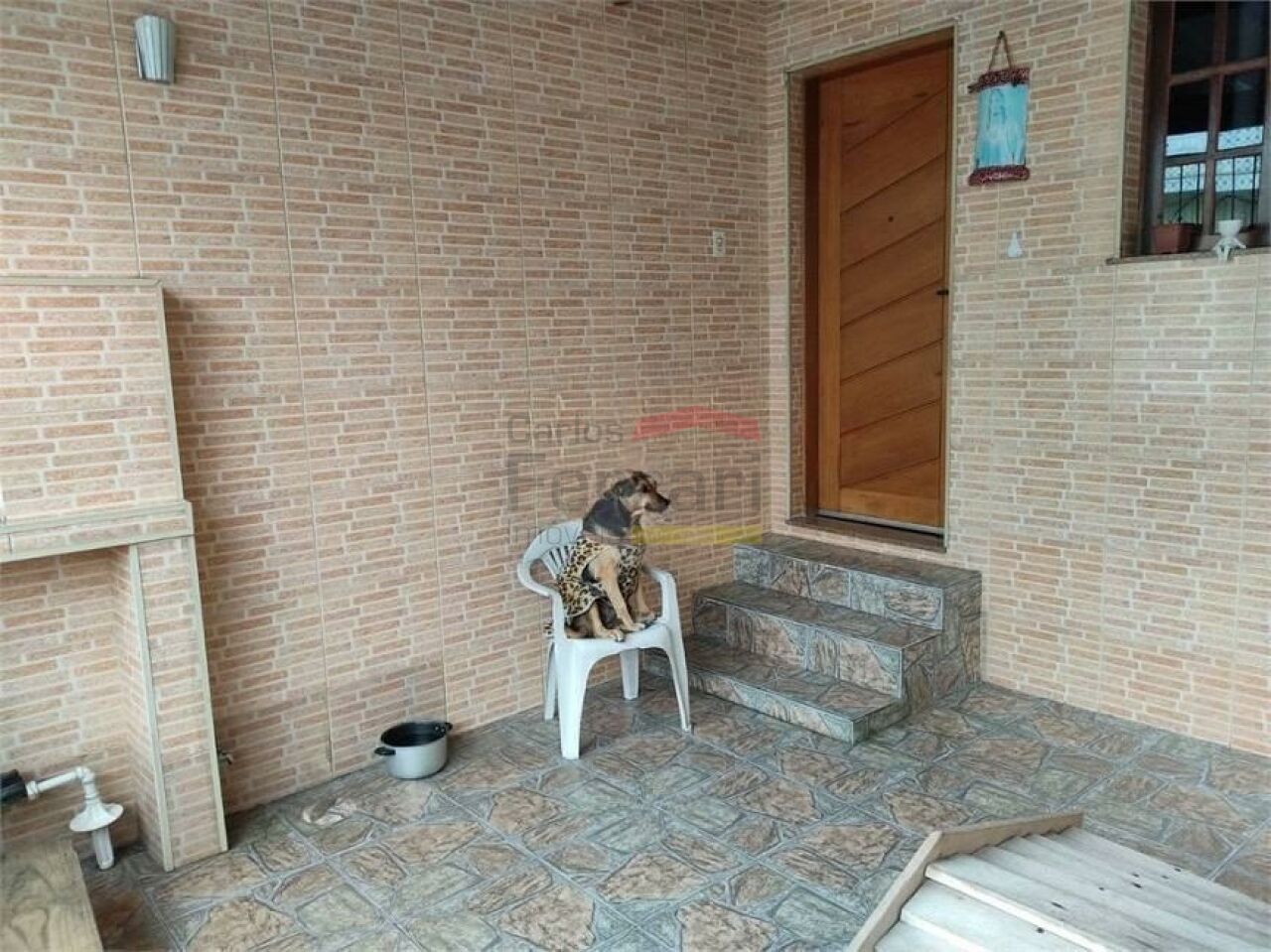 Foto 7