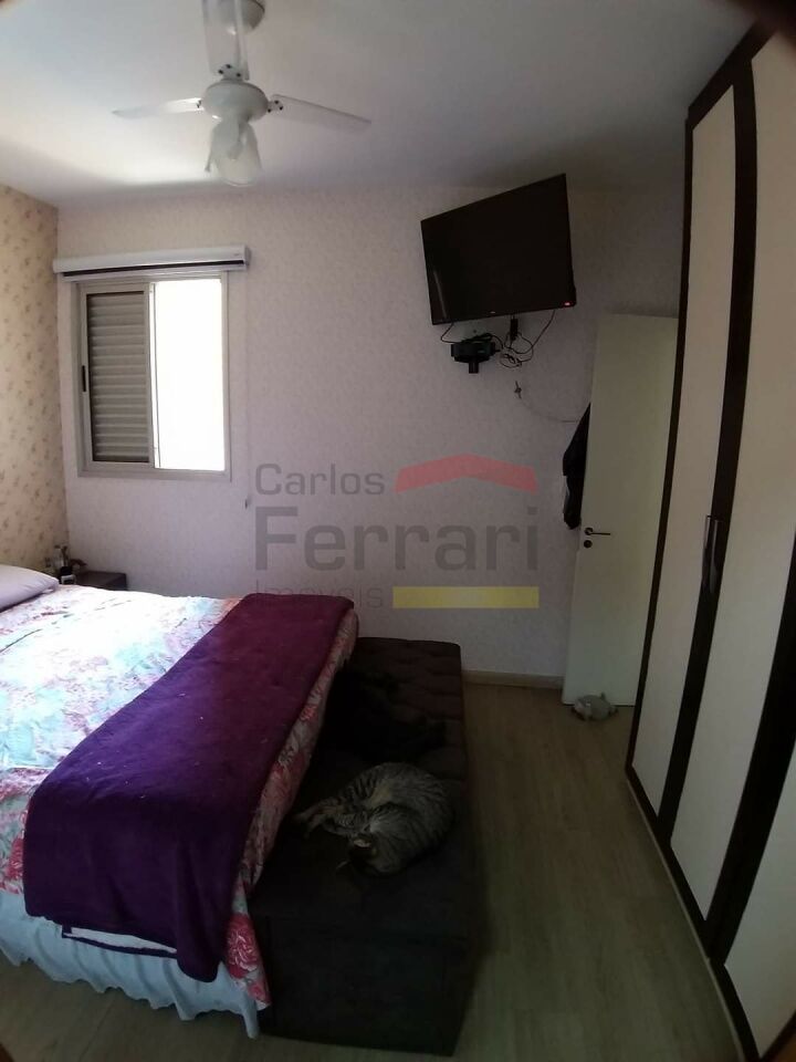 Foto 19
