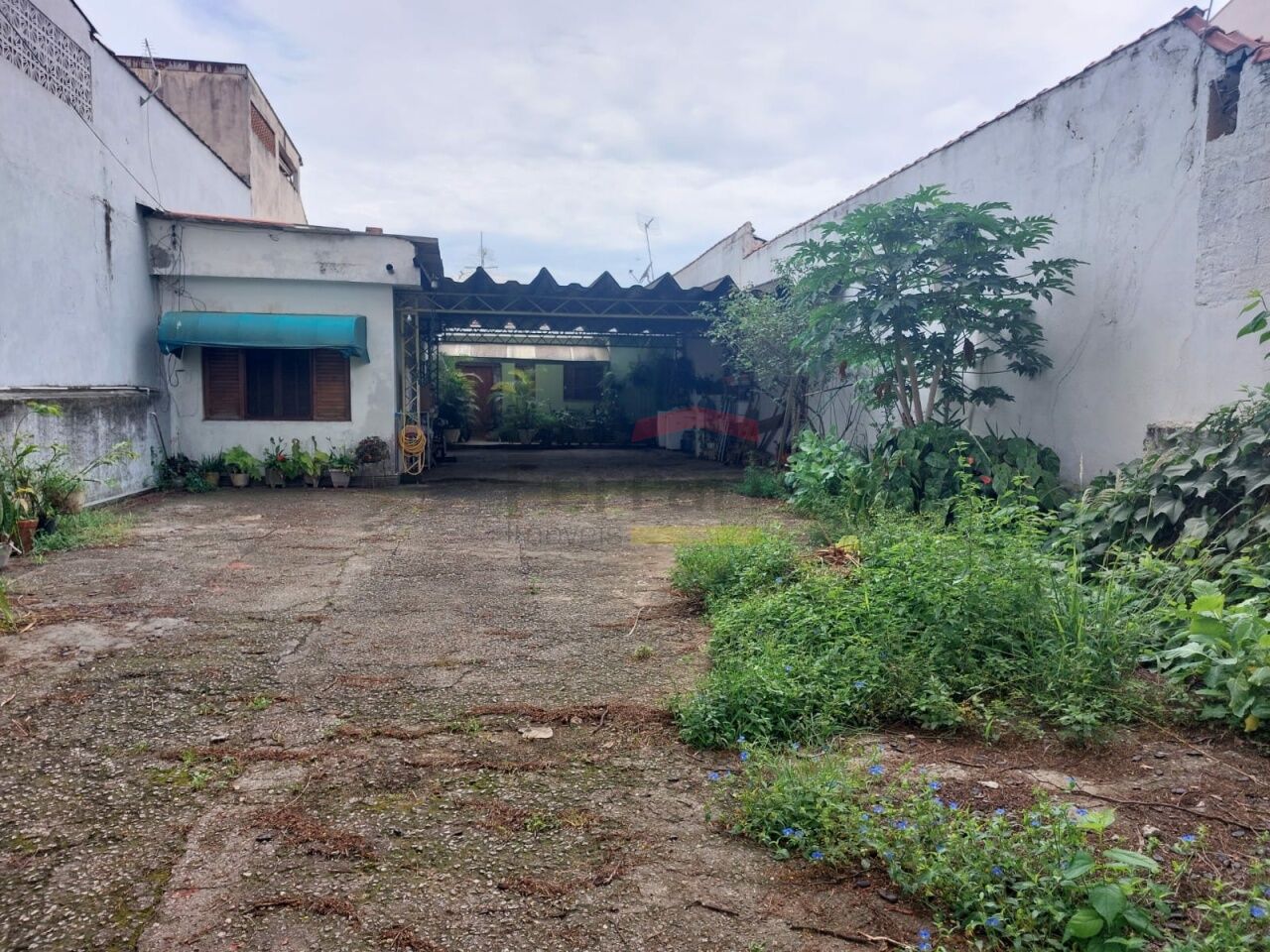 Foto 0