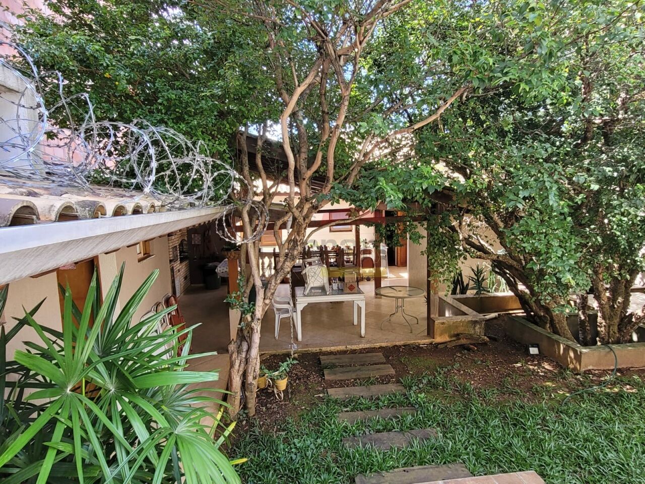 Foto 10