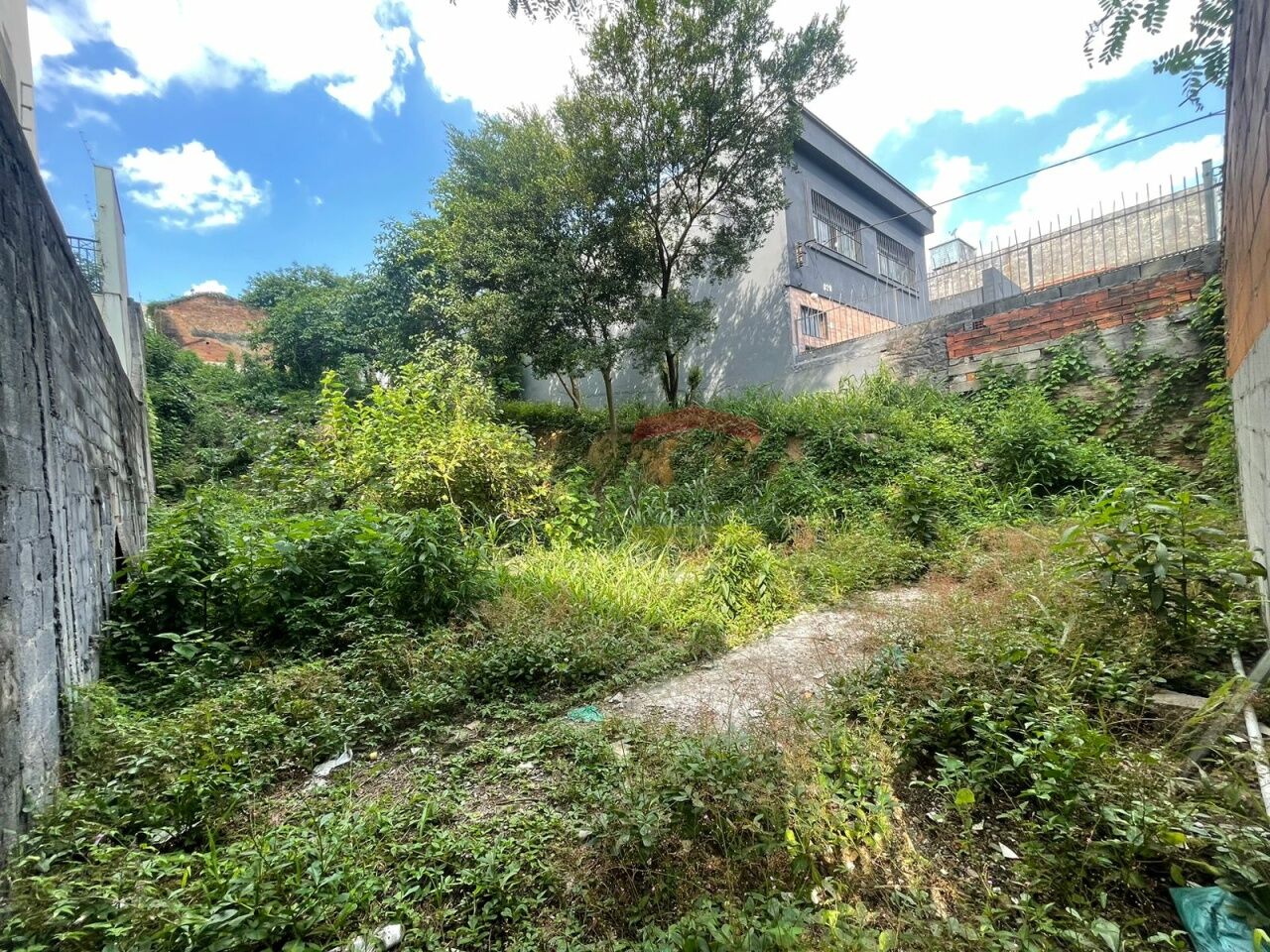 Foto 1