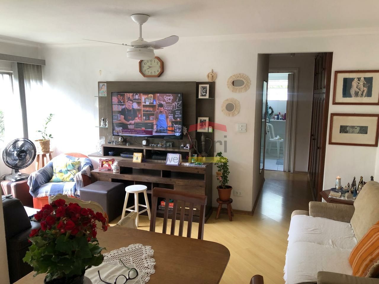 Foto 7