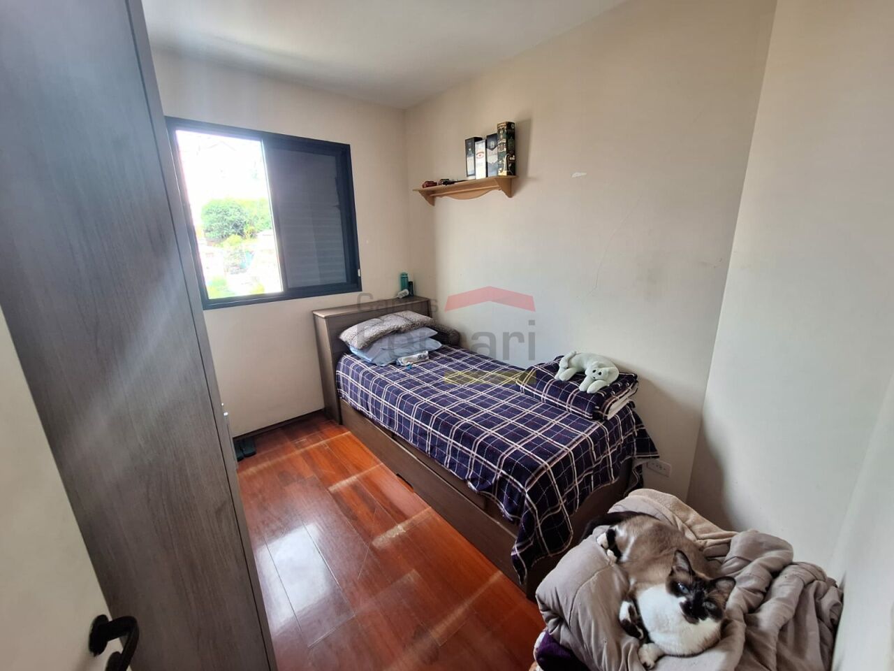 Foto 7