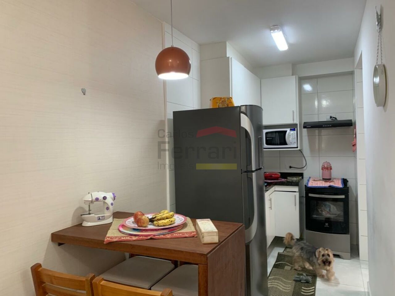 Foto 7