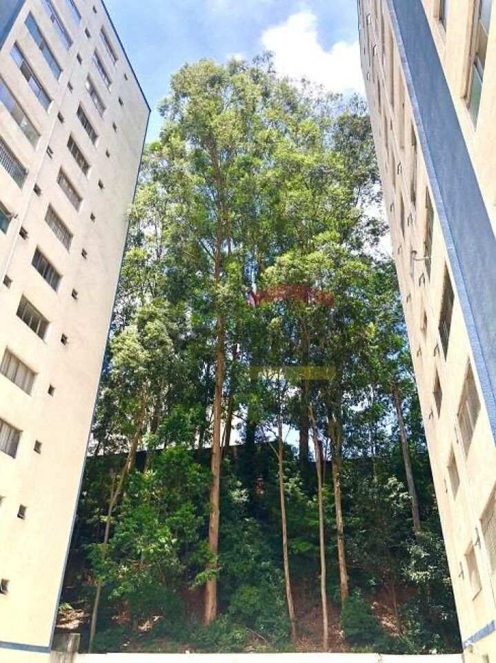 Foto 31