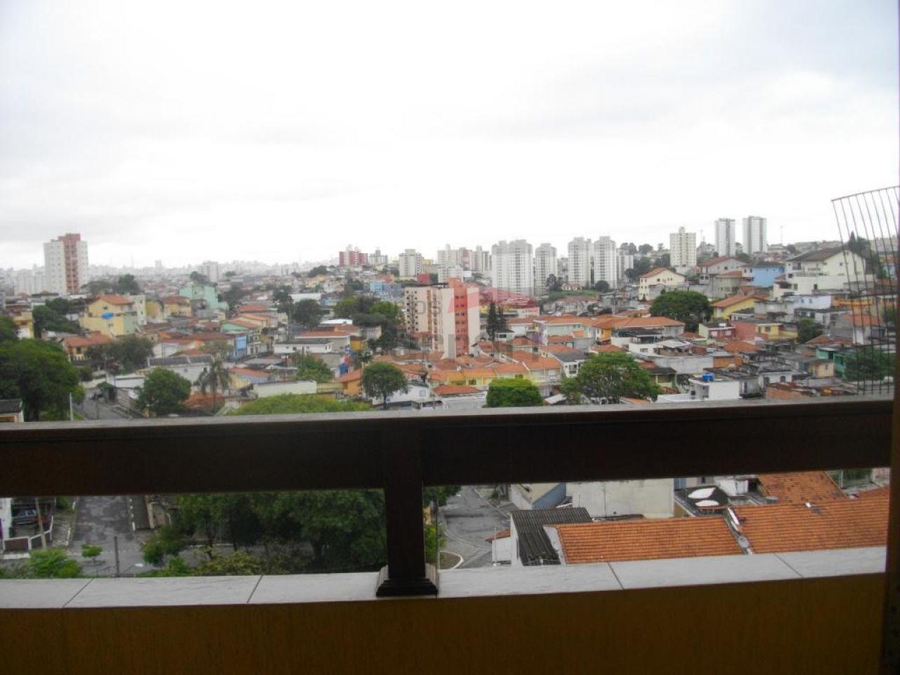Foto 20