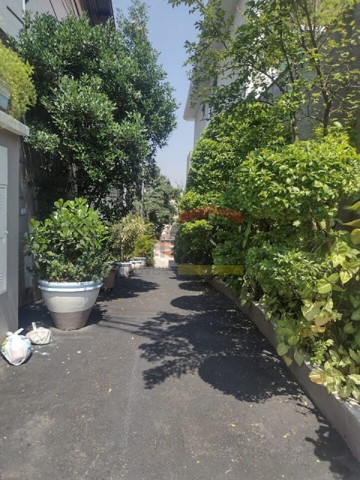 Foto 19