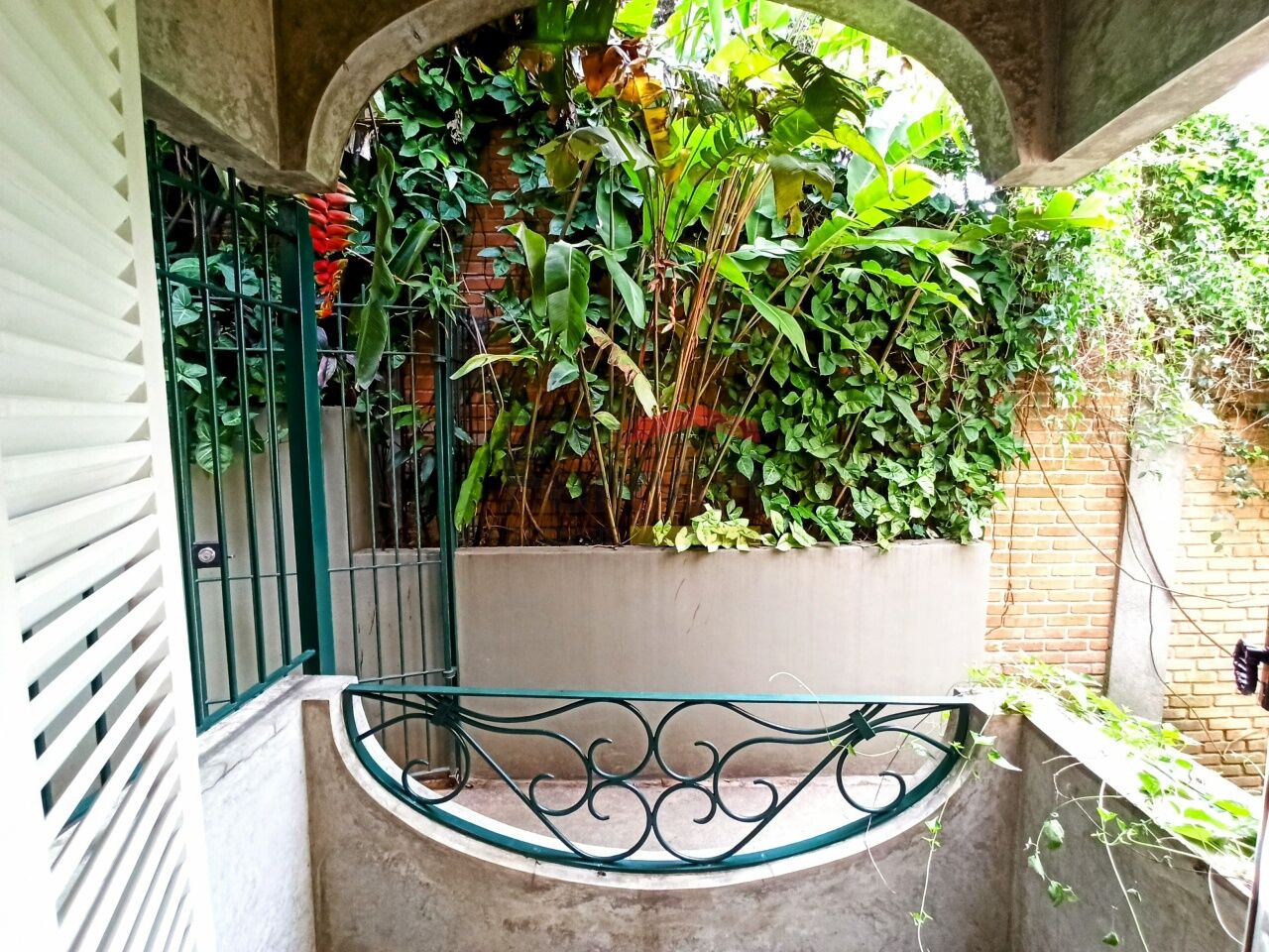 Foto 19