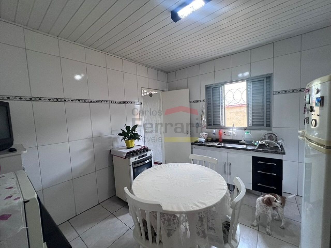 Foto 12