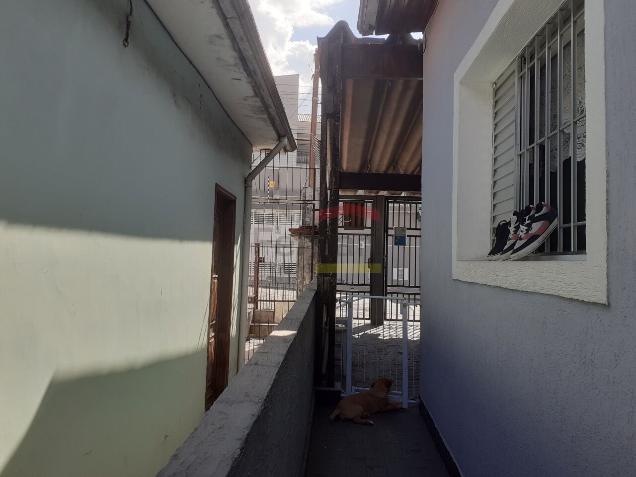 Foto 21